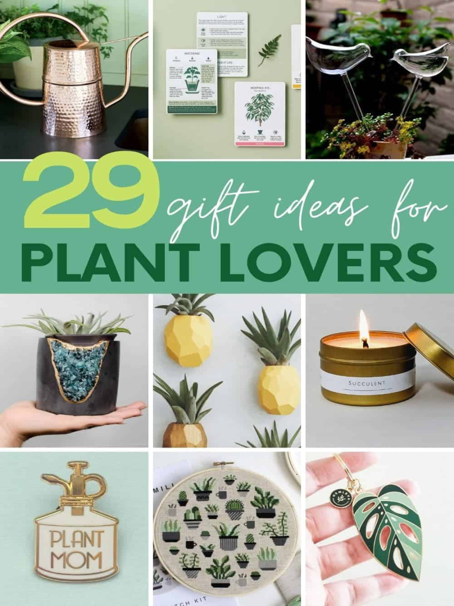 + Creative Gifts for Plant Lovers for - Growfully + Creative Gifts for Plant Lovers for - Growfully