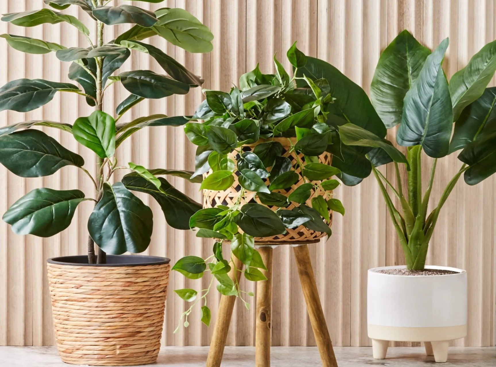 of the best pots and plant stands at Kmart of the best pots and plant stands at Kmart