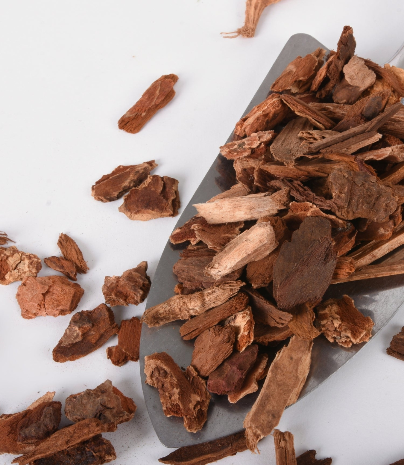 Orchid Bark - Soil Amendments - Plant Supplies - Pistils Nursery Orchid Bark - Soil Amendments - Plant Supplies - Pistils Nursery