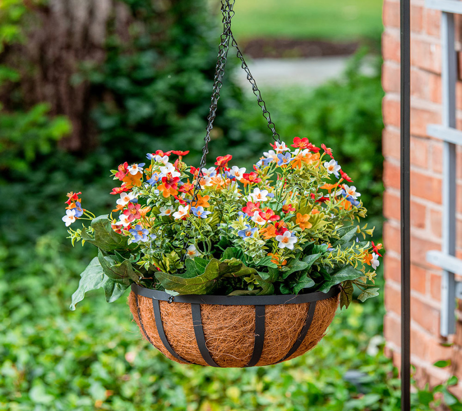 Best Plants for Hanging Baskets - The Home Depot Best Plants for Hanging Baskets - The Home Depot