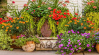 Container Gardening Ideas for the Midwest